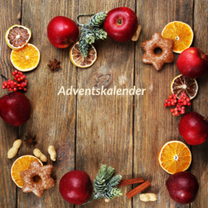 Modul 1 1. advent 2